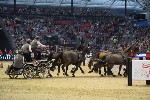 Extreme - 00348
